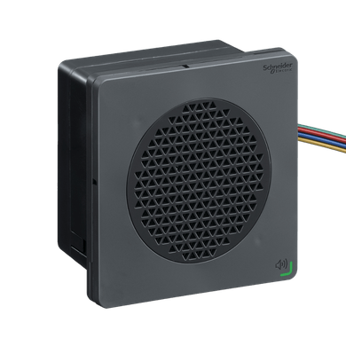 18581377-XVSV9MBN