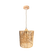 24450004