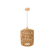 24450005