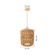 24450005--2-
