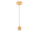 24450018