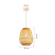 24450024--2-