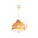 24450026--2-