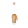 24450029--1-