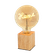 24450032--2-